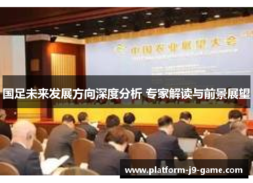 国足未来发展方向深度分析 专家解读与前景展望