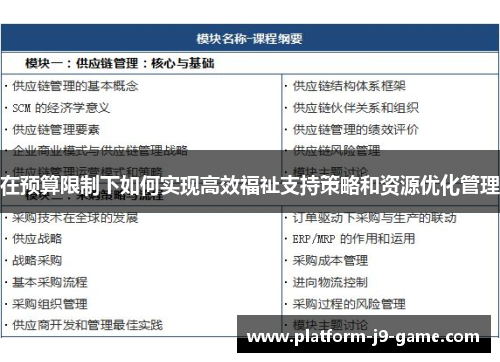 在预算限制下如何实现高效福祉支持策略和资源优化管理 在预算限制下如何实现高效福祉支持策略和资源优化管理