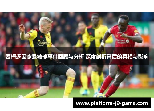 塞梅多因家暴被捕事件回顾与分析 深度剖析背后的真相与影响