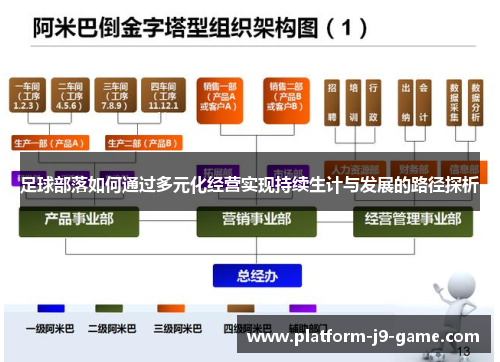 足球部落如何通过多元化经营实现持续生计与发展的路径探析 足球部落如何通过多元化经营实现持续生计与发展的路径探析