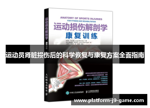 运动员肾脏损伤后的科学恢复与康复方案全面指南