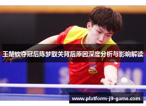 王楚钦夺冠后陈梦取关背后原因深度分析与影响解读